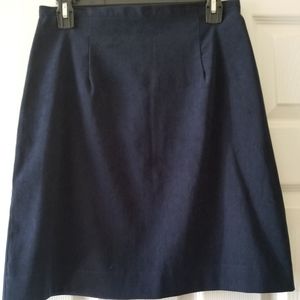 Northern Reflections blue skirt